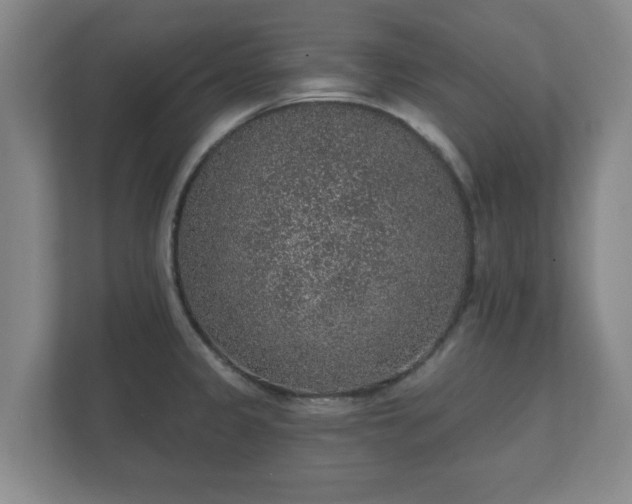 X0000112381333200908201514