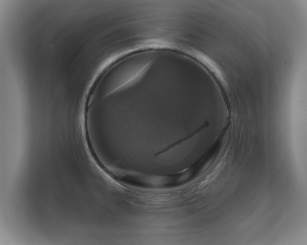 X0000112381334200908201514