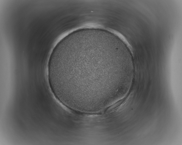 X0000112381335200908201514