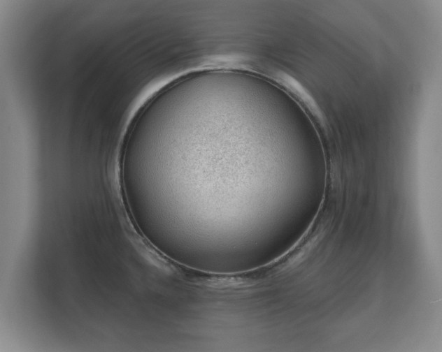 X0000112381336200908201514