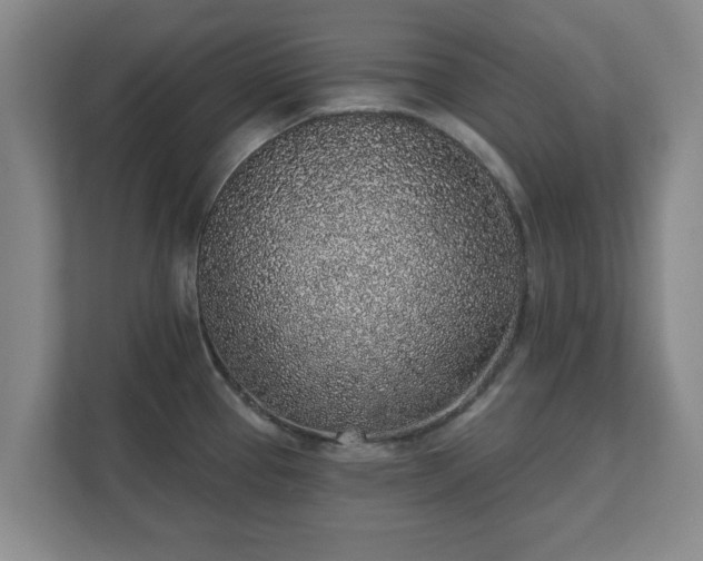 X0000112381337200908201514