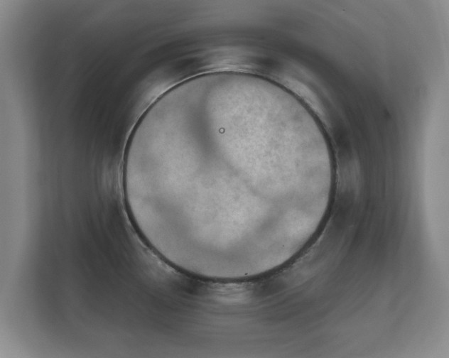 X0000112381338200908201514