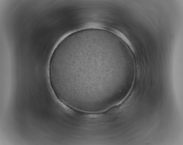 X0000112381339200908201514