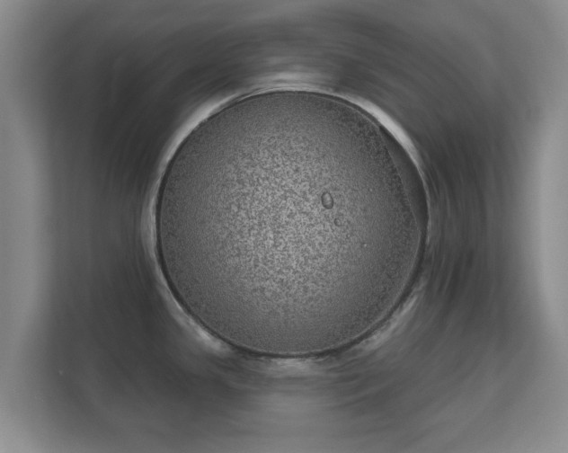 X0000112381341200908201514