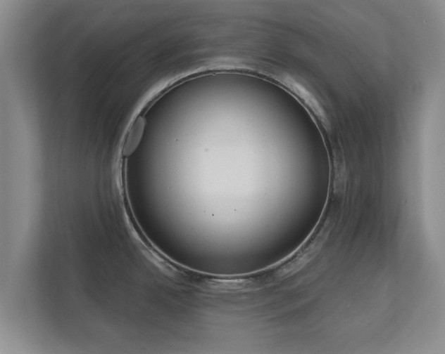 X0000112381342200908201514