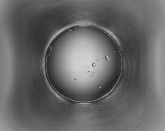 X0000112381343200908201514