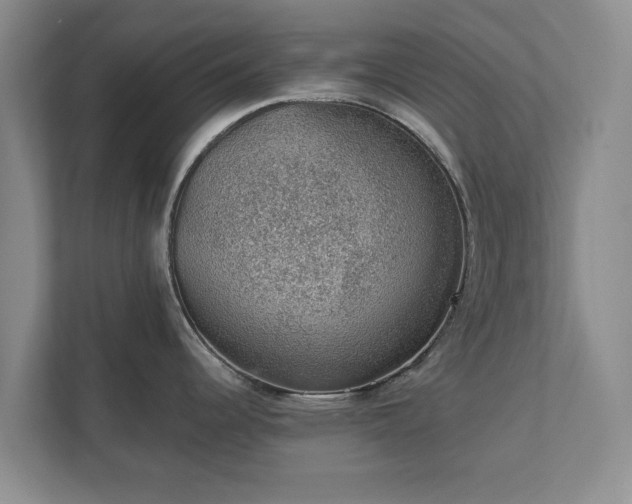 X0000112381344200908201514