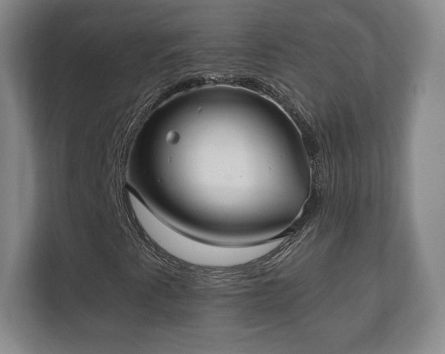 X0000112381345200908201514