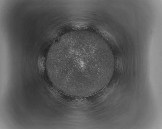 X0000112381346200908201514