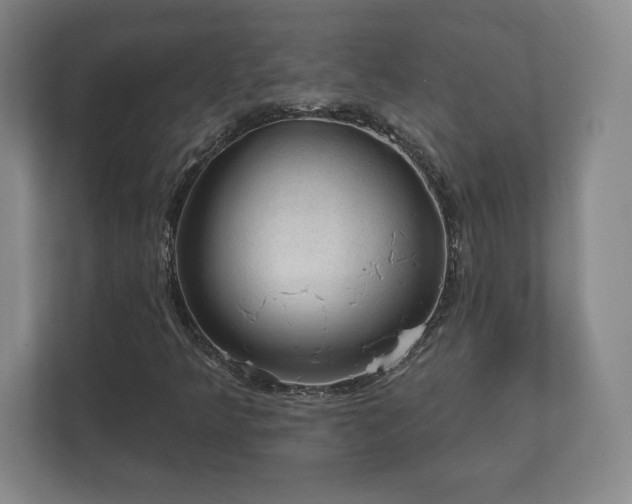 X0000112381349200908201514