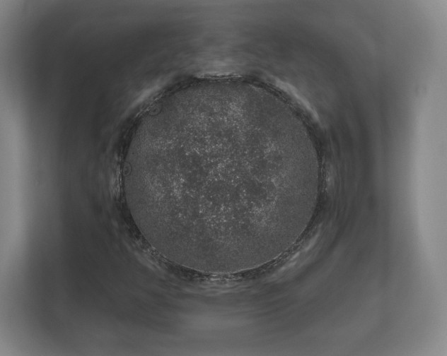 X0000112381350200908201514