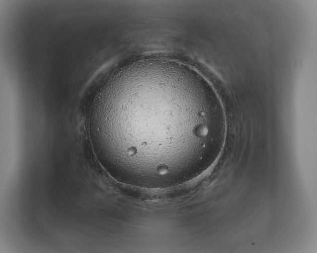 X0000112381351200908201514