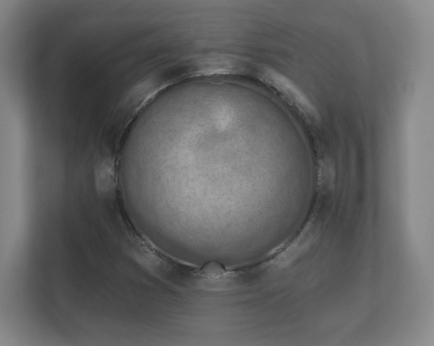 X0000112381353200908201514