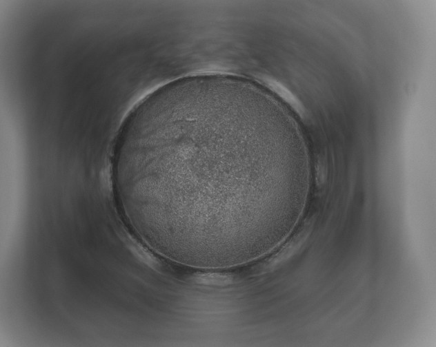 X0000112381356200908201514