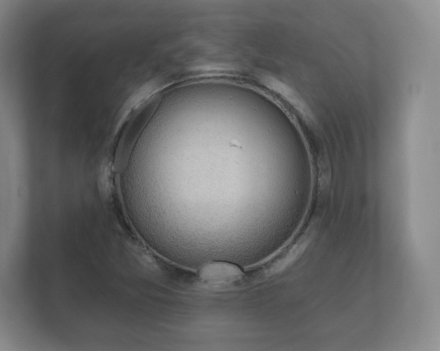 X0000112381357200908201514