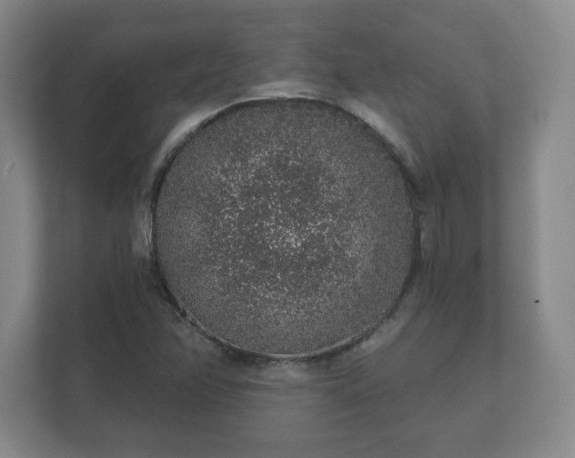 X0000112381358200908201514