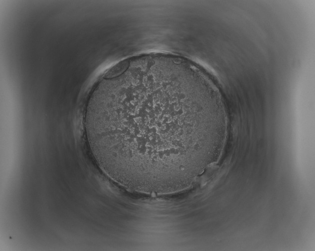 X0000112381359200908201514