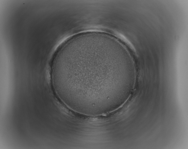 X0000112381360200908201514