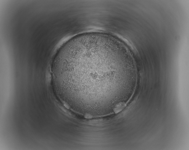 X0000112381363200908201514