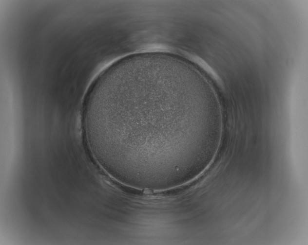 X0000112381364200908201514