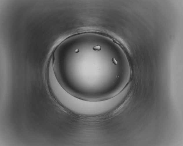 X0000112381365200908201514