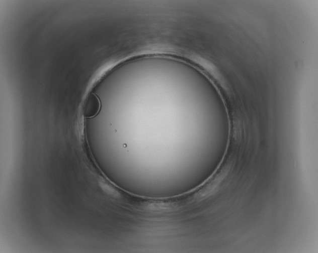 X0000112381366200908201514