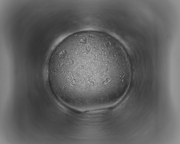 X0000112381367200908201514