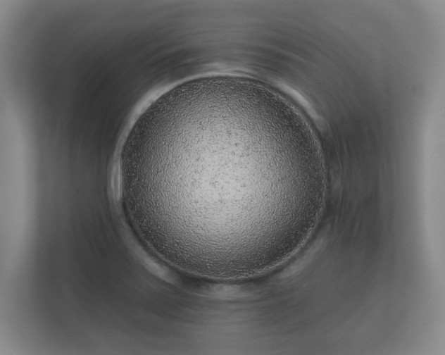 X0000112381371200908201514