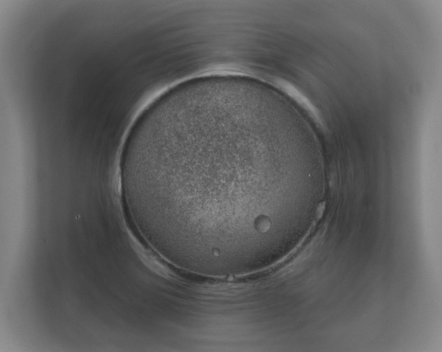 X0000112381372200908201514