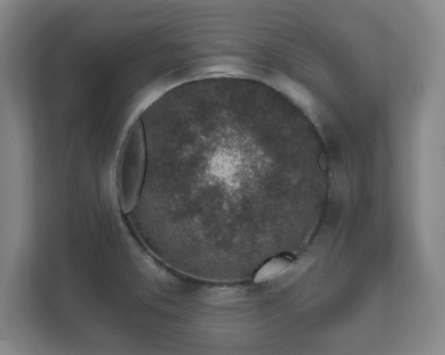 X0000112381373200908201513