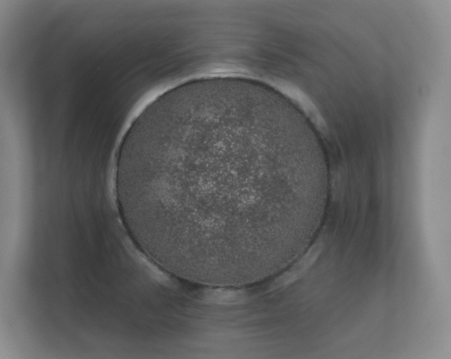 X0000112381374200908201513