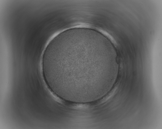 X0000112381375200908201513