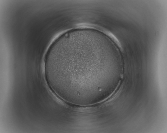 X0000112381376200908201513