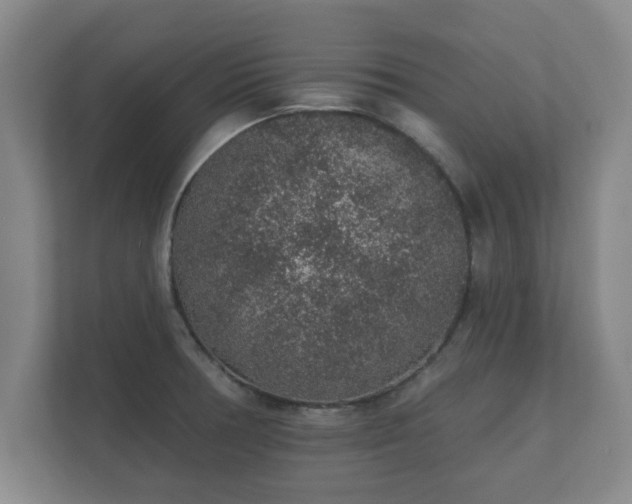 X0000112381378200908201513