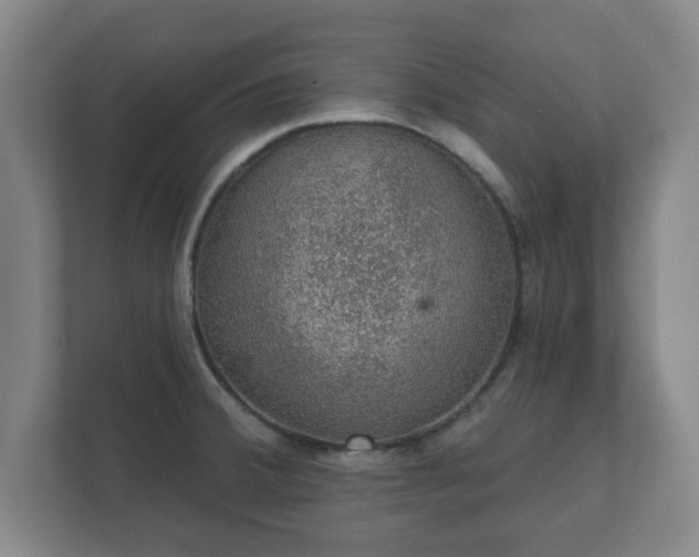 X0000112381380200908201513