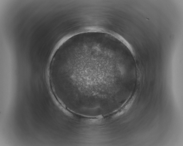 X0000112381381200908201513