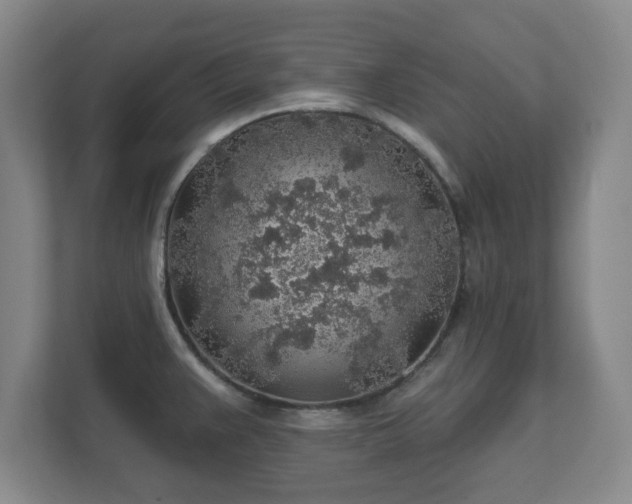 X0000112381383200908201513