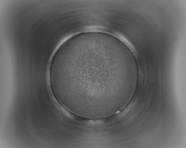 X0000112381384200908201513