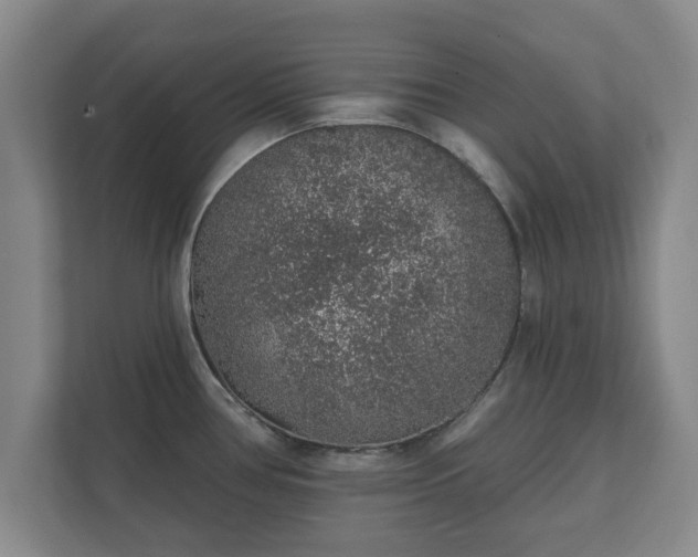 X0000112381386200908201513