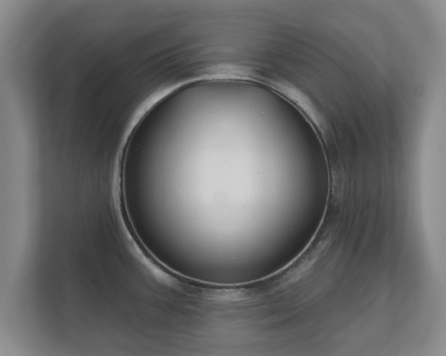 X0000112381387200908201513