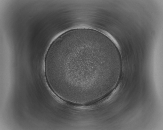 X0000112381388200908201513