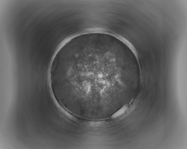 X0000112381389200908201513