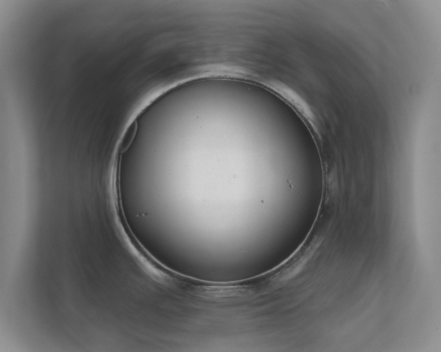 X0000112381391200908201513