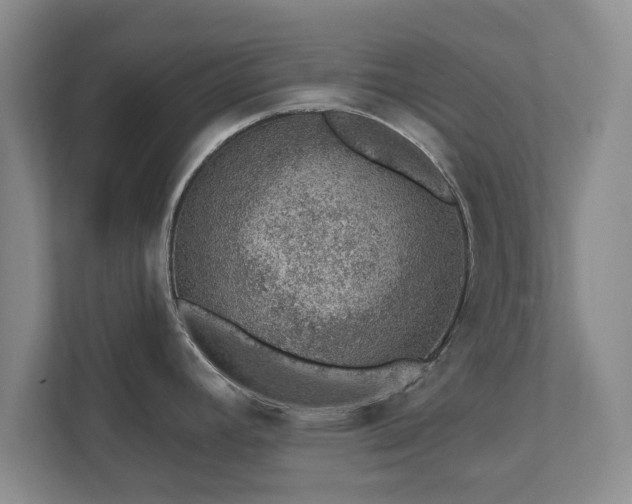 X0000112381392200908201513