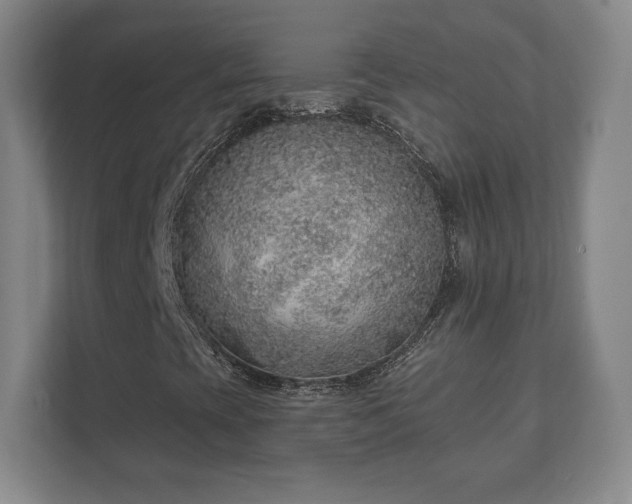 X0000112381393200908201513