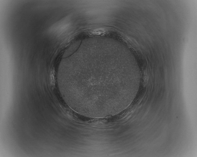 X0000112381394200908201513