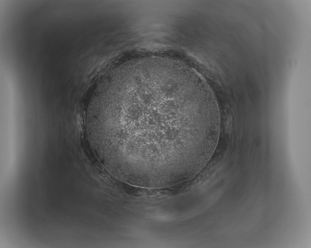 X0000112381397200908201513