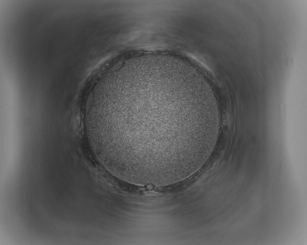 X0000112381398200908201513