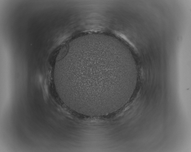 X0000112381399200908201513