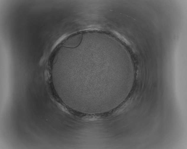 X0000112381400200908201513